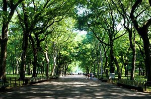 Die Promenade des Central Parks in New York ©2009 M. Schulz Destination Sites GmbH. Alle Rechte vorbehalten.